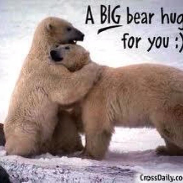 big bear hug - A Big bear hug for you Cross Daily.co