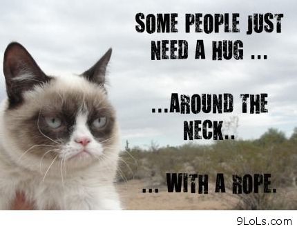 need a hug funny - Some People Just Need A Hug ... ... Around The Neck.. ... With A Rope 9LOLs.com