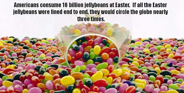 Jelly Bean Day