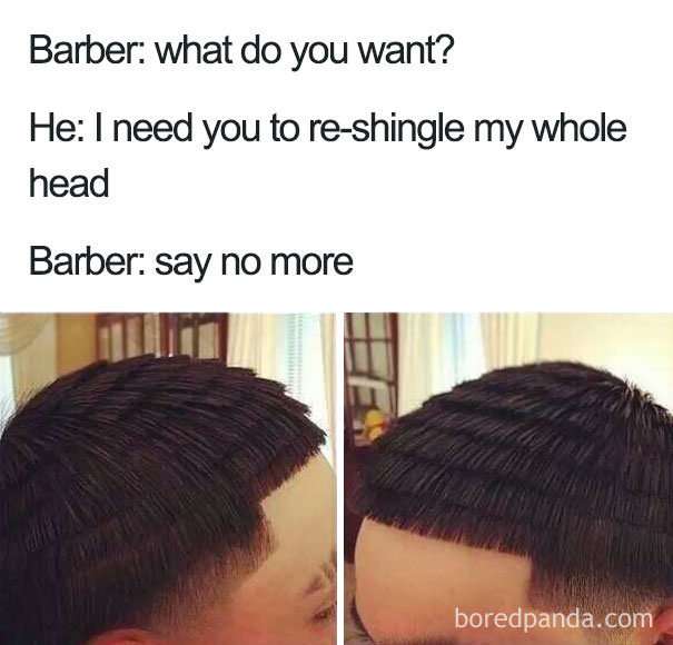 barber what do you want - Barber what do you want? He I need you to reshingle my whole head Barber say no more boredpanda.com