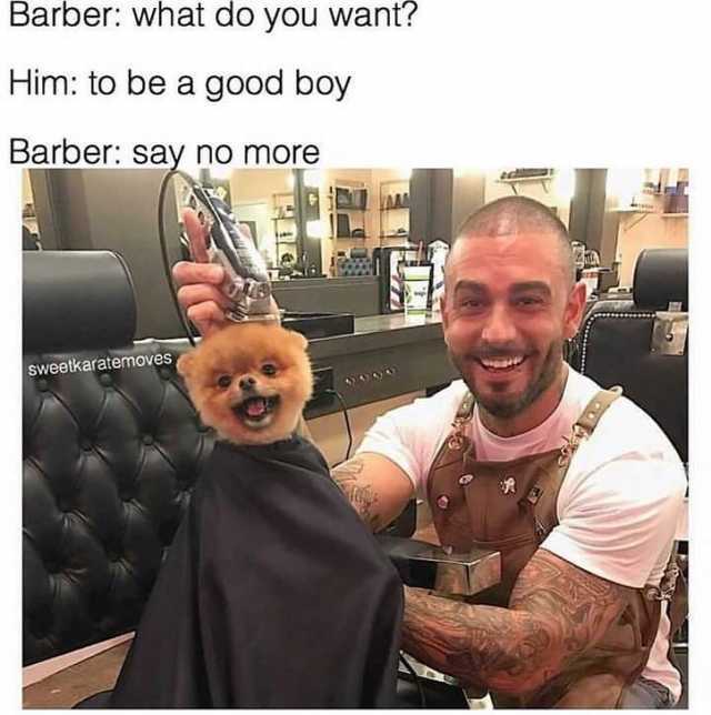 memes barber say no more - Barber what do you want? Him to be a good boy Barber say no more sweetkaratemoves