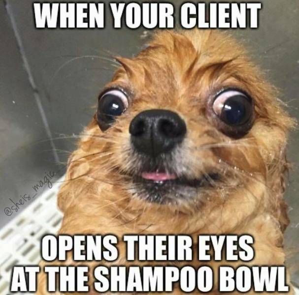 hairstylist memes - When Your Client magia Opens Their Eyes At The Shampoo Bowl