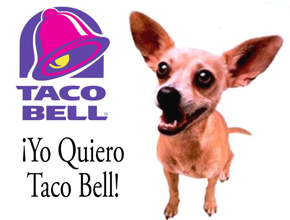 Yes, we adored taco bell as much as this adorable dog- I believe this was the start of the purse puppy craze