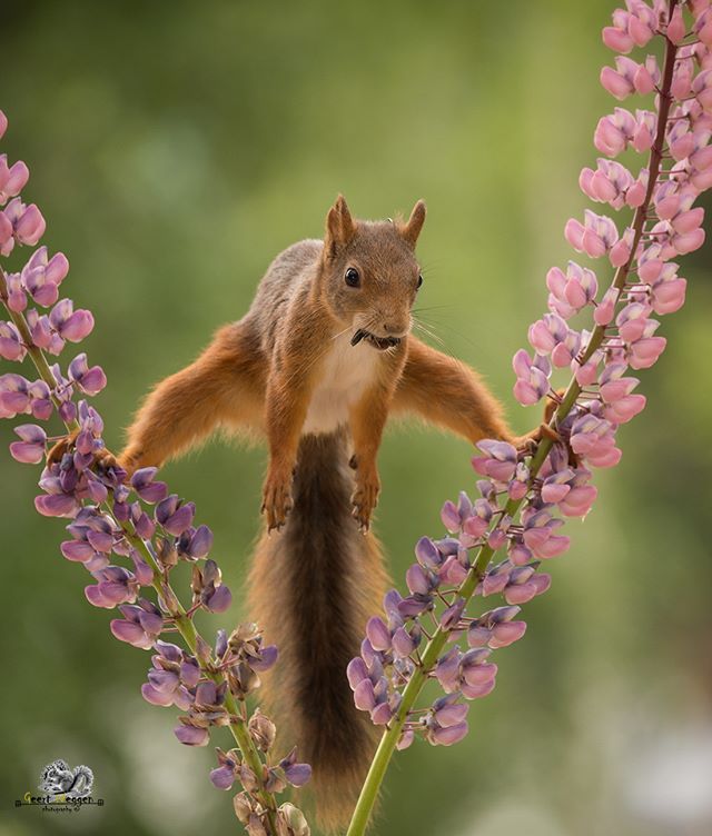 When it's Friday and quitting time is in 5 minutes and you're getting ready to sprint for the door