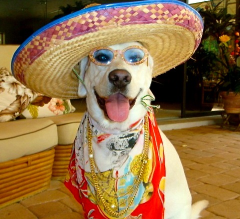 Cinco De Mayo is coming