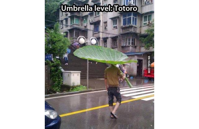 taro leaf umbrella - Lola Umbrella level Totoro Via 9GAG.Com