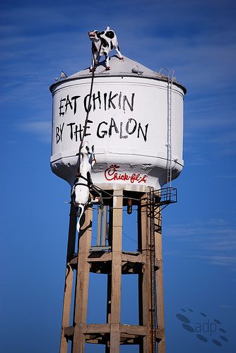 31 cool water towers