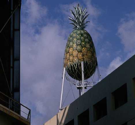 31 cool water towers