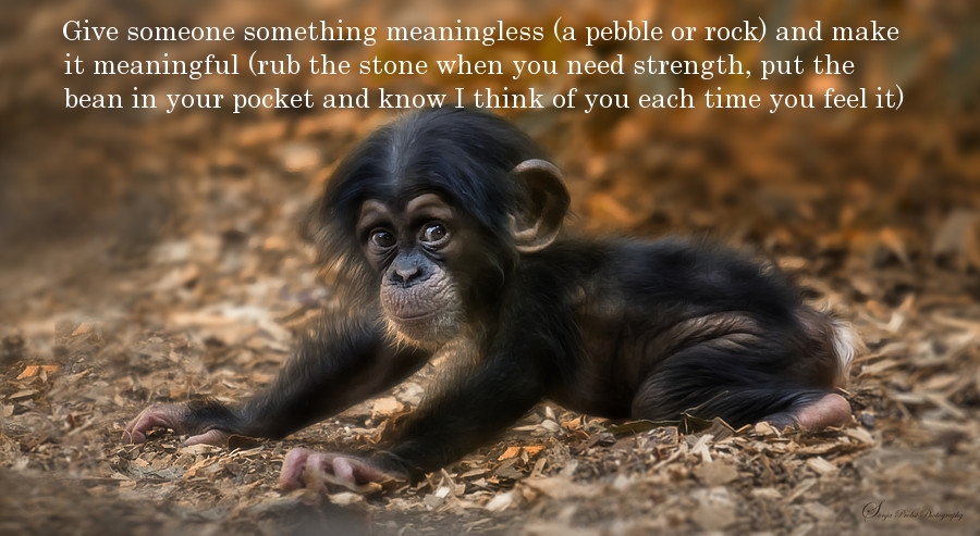 baby animals in the wild - Give someone something meaningless a pebble or rock and make it meaningful rub the stone when you need strength, put the bean in your pocket and know I think of you each time you feel it
