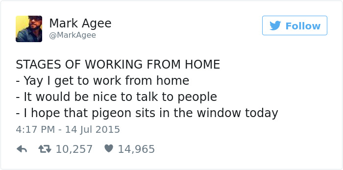 boggie with da hoodie quotes - Mark Agee y Stages Of Working From Home Yay I get to work from home It would be nice to talk to people I hope that pigeon sits in the window today 17 10,257 14,965