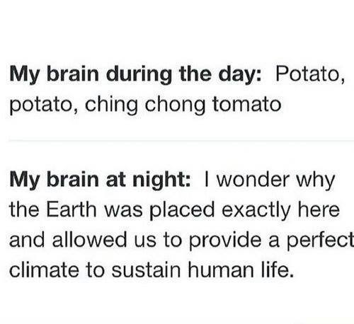 potato potato ching chong tomato - My brain during the day Potato, potato, ching chong tomato My brain at night I wonder why the Earth was placed exactly here and allowed us to provide a perfect climate to sustain human life.