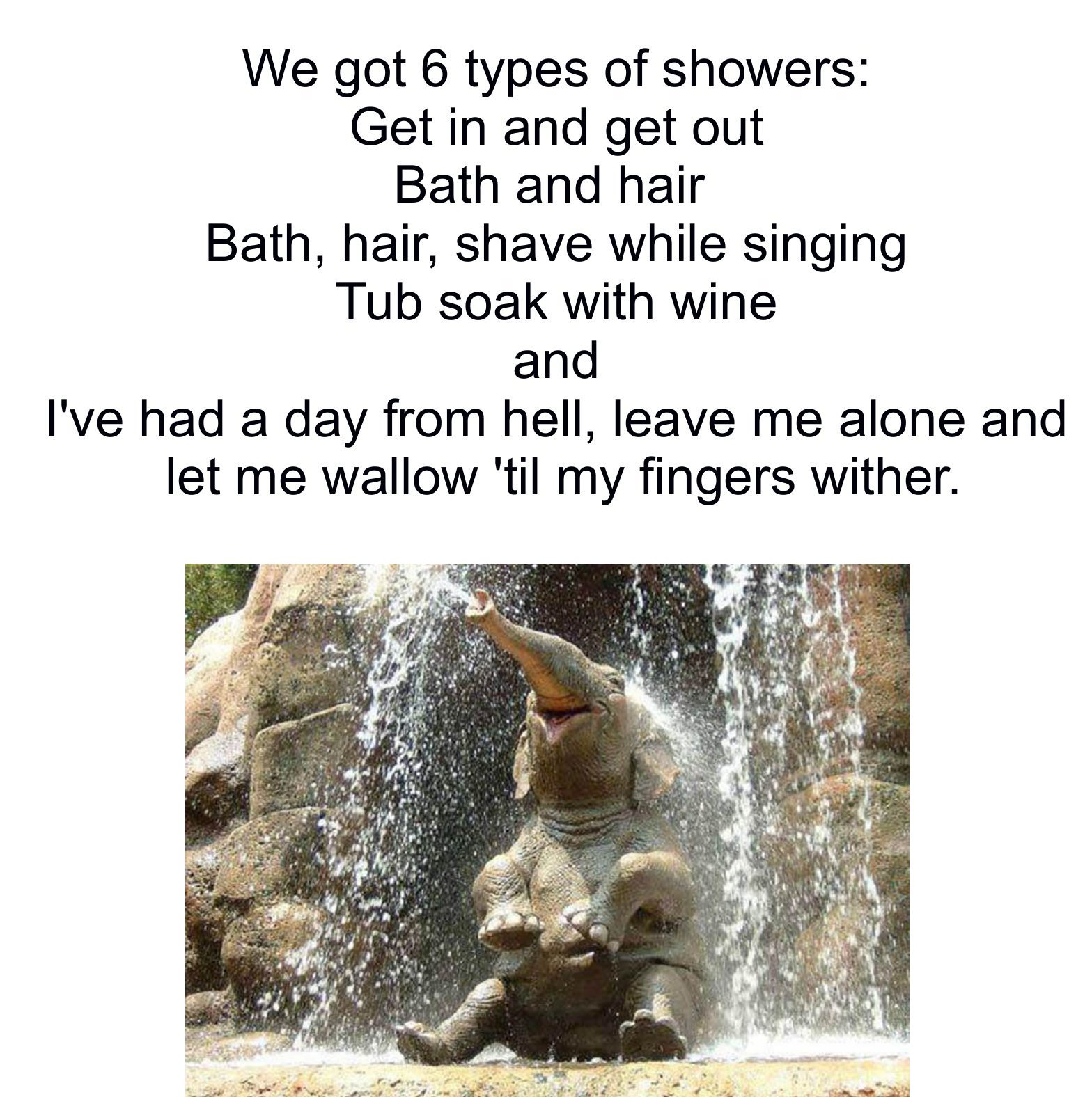 happy elefant - We got 6 types of showers Get in and get out Bath and hair Bath, hair, shave while singing Tub soak with wine and I've had a day from hell, leave me alone and let me wallow 'til my fingers wither.