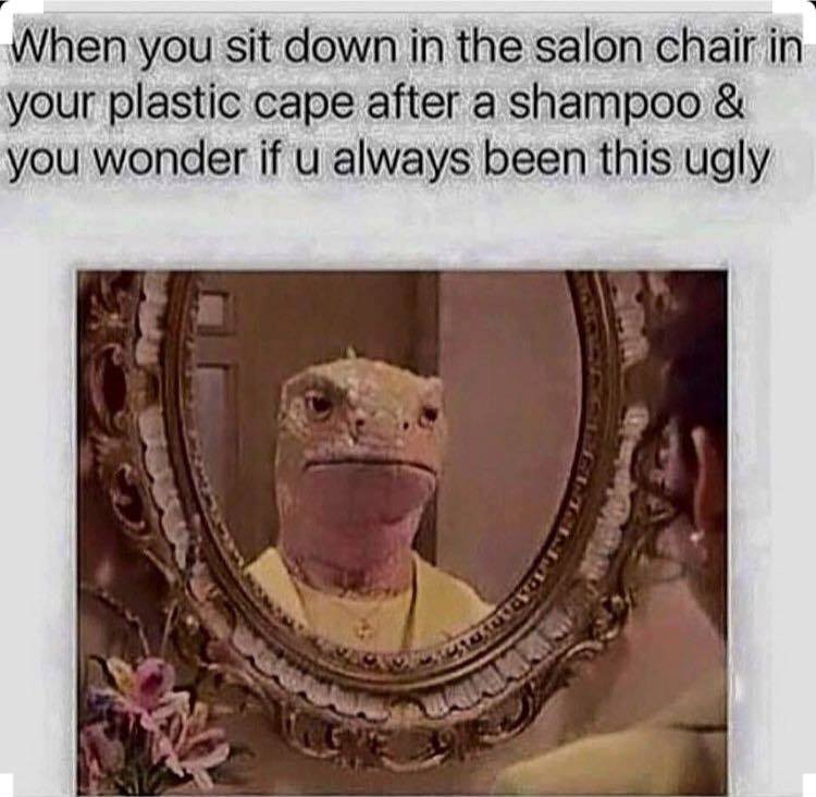 awkward moments - ugly hairdresser meme - When you sit down in the salon chair in your plastic cape after a shampoo & you wonder if u always been this ugly