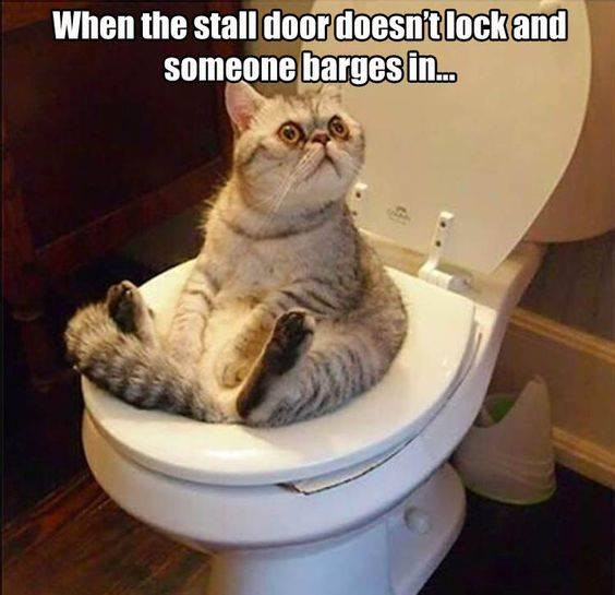 awkward moments - When the stall door doesn't lock and someone barges in...