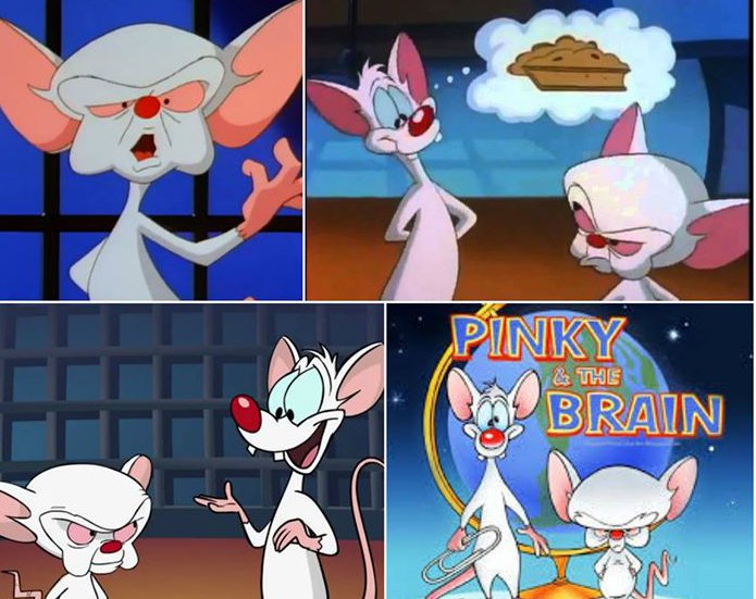 pinky and the brain - Pinky Brain & The