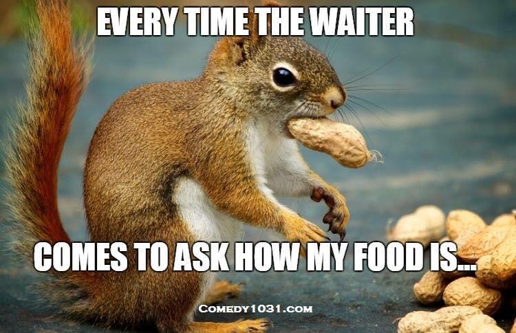 photo caption - Every Time The Waiter Comes To Ask How My Foodis.. Comedy 1031.Com