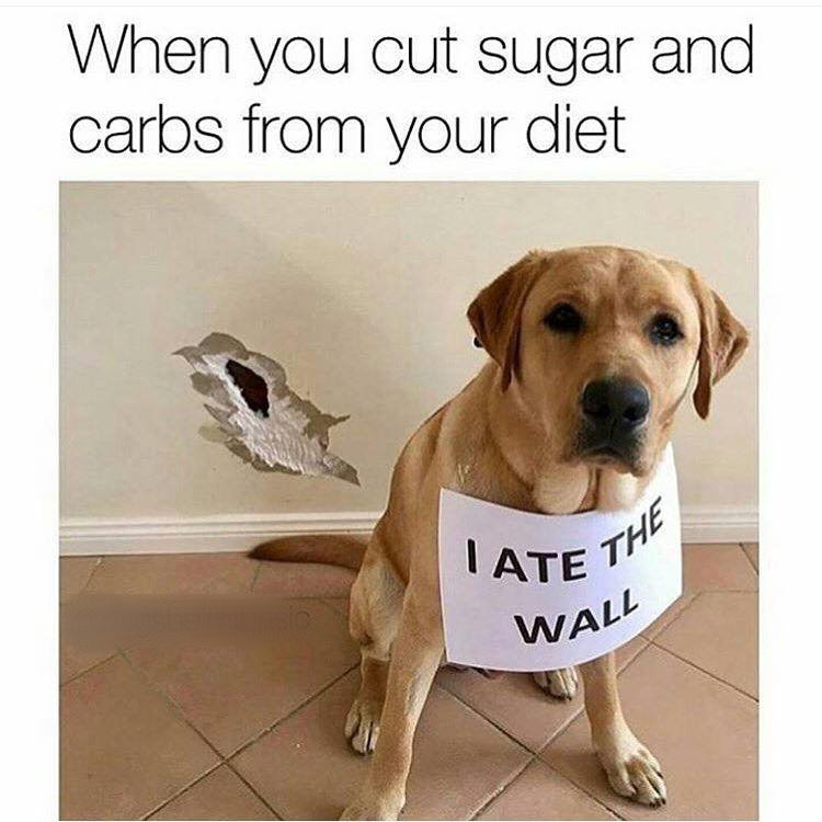 funny doggo memes - When you cut sugar and carbs from your diet Ate The Wall