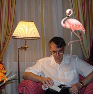 Flamingo Day