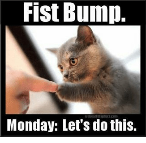 monday memes - fist bump monday meme - Fist Bump. Monday Let's do this.