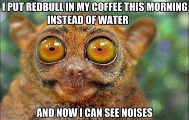monday memes - made my coffee with redbull - I Put Redbull In My Coffee This Morning Instead Of Water Instead Of Coffee Thism And Now I Can See Noises