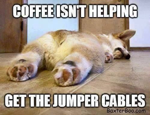 monday memes - ireland - Coffee Isnt Helping Get The Jumper Cables BaxterBoo.com