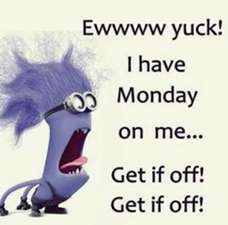 monday memes - monday funny - Ewwww yuck! I have Monday on me... Get if off! Get if off!