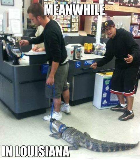walmart alligator - Meanwhile In Louisiana