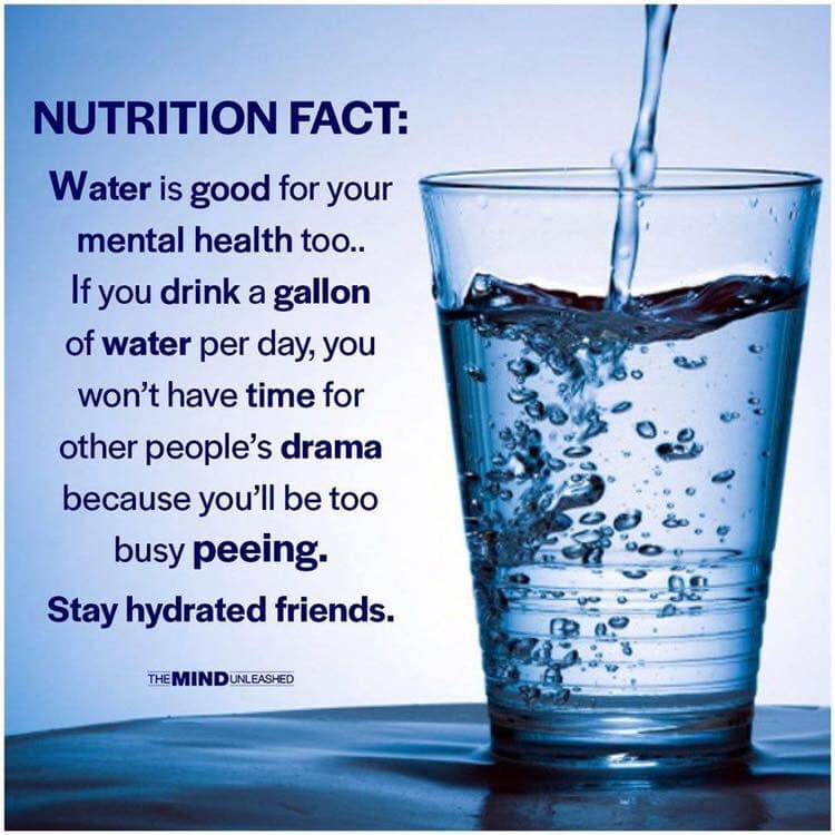 drinking water - Nutrition Fact Water is good for your mental health too.. If you drink a gallon of water per day, you won't have time for other people's drama because you'll be too busy peeing. Stay hydrated friends. The Mind Unleashed