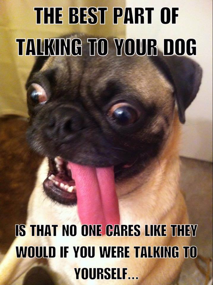 derp dog - The Best Part Of Talking To Your Dog Is That No One Cares They Would If You Were Talking To Yourself..
