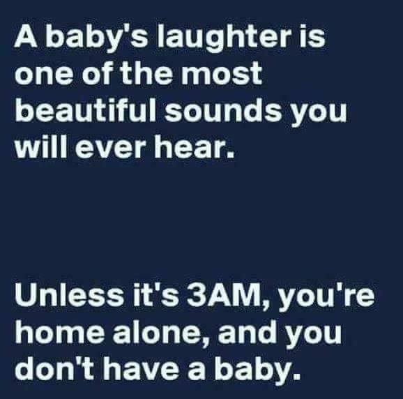 step brothers quotes - A baby's laughter is one of the most beautiful sounds you will ever hear. Unless it's 3AM, you're home alone, and you don't have a baby.