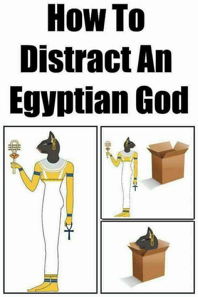 funny pictures - egypt gods memes - How To Distract An Egyptian God Si