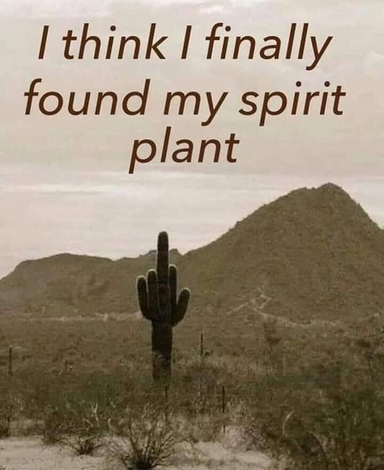 funny pictures - soil - I think I finally found my spirit plant