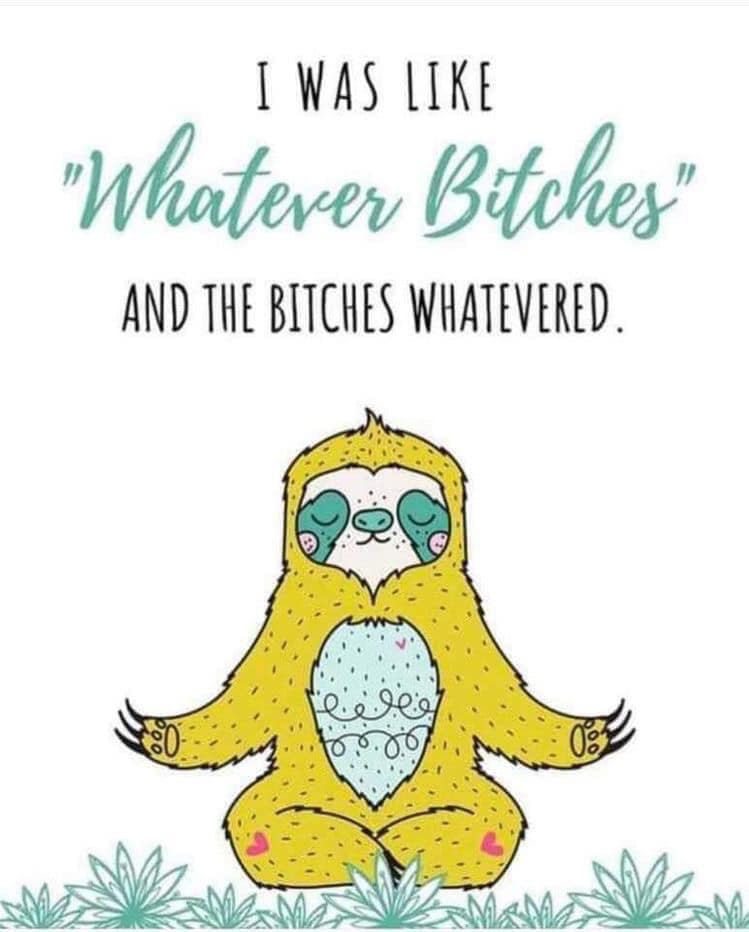 funny pictures - like whatever bitches sloth - I Was "Whatever Bitches" And The Bitches Whatevered. Pomo ,