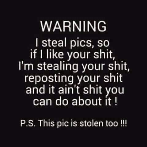 funny pictures - love - Warning I steal pics, so if I your shit, I'm stealing your shit, reposting your shit and it ain't shit you can do about it! P.S. This pic is stolen too !!!