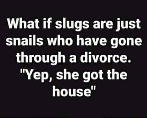funny pictures - real men pay child support - What if slugs are just snails who have gone through a divorce. "Yep, she got the house"