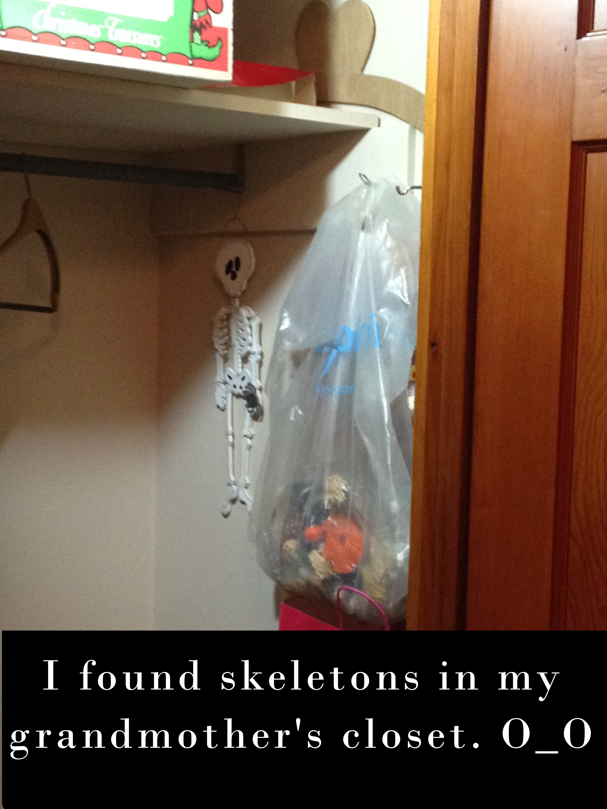 funny pictures - glass - I found skeletons in my grandmother's closet. O o