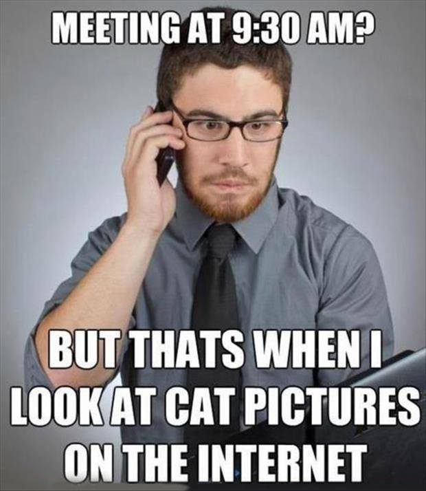 work meme meeting meme - Meeting At ? But Thats When I Look At Cat Pictures On The Internet