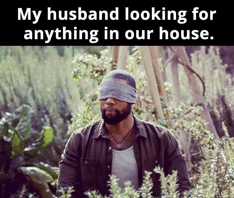 my husband looking for something meme - My husband looking for anything in our house.