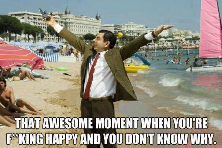 rowan atkinson mr bean's holiday - That Awesome Moment When You'Re F King Happy And You Don'T Know Why.