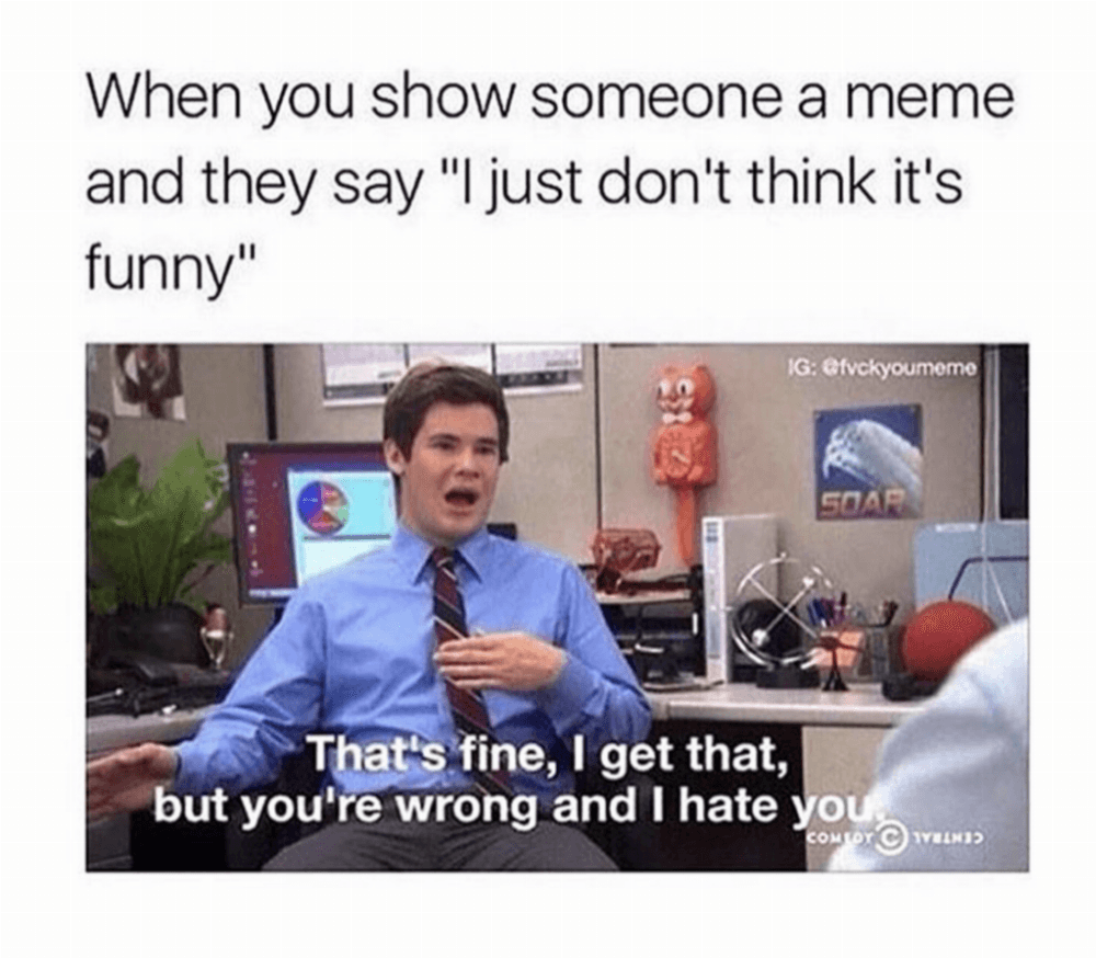 memes funny random - When you show someone a meme and they say "I just don't think it's funny" Ig Soar That's fine, I get that, but you're wrong and I hate you Comloy Walni