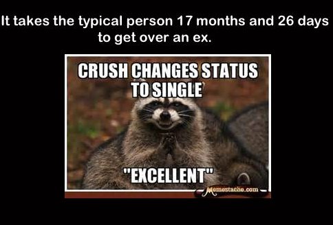 Relationship Memes - It takes the typical person 17 months and 26 days to get over an ex. Crush Changes Status To Single