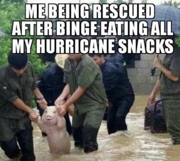 More hurricane memes