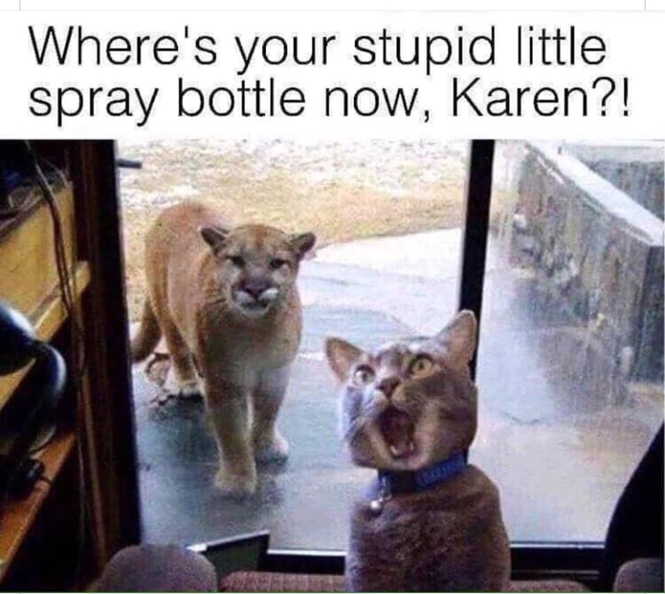 where's your spray bottle now karen - Where's your stupid little spray bottle now, Karen?!