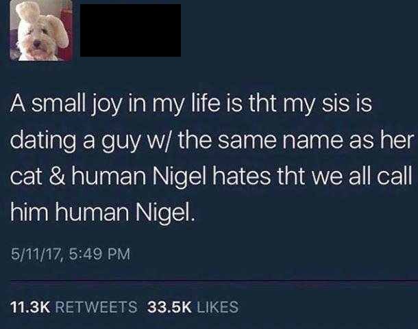 sky - A small joy in my life is tht my sis is dating a guy w the same name as her cat & human Nigel hates tht we all call him human Nigel. 51117,