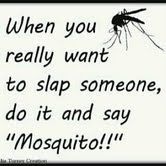 funny mosquito quotes - When you really want to slap someone, do it and say "Mosquito!!"