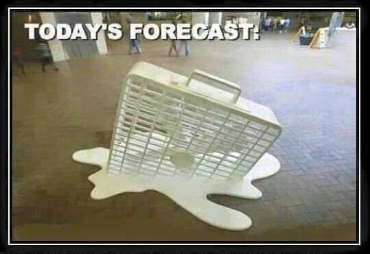 heat memes funny - Today'S Forecast