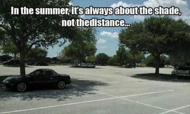 funny louisiana memes - In the summer, it's always about the shade, at not the distance...