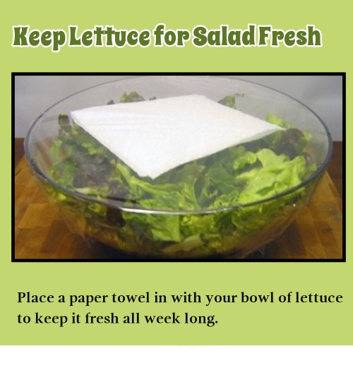 Keep Lettuce for Salad Fresh Place a paper towel in with your bowl of lettuce to keep it fresh all week long.