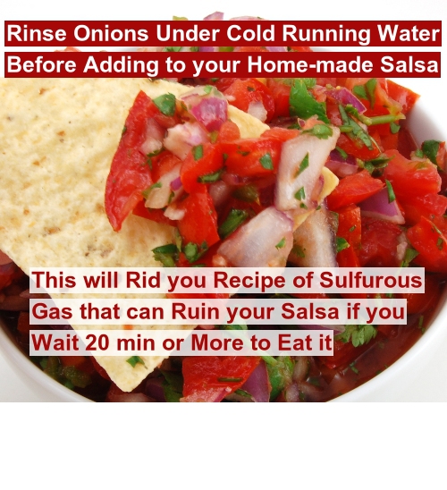 pico de gallo - Rinse Onions Under Cold Running Water Before Adding to your Homemade Salsa This will Rid you Recipe of Sulfurous Gas that can Ruin your Salsa if you Wait 20 min or More to Eat it