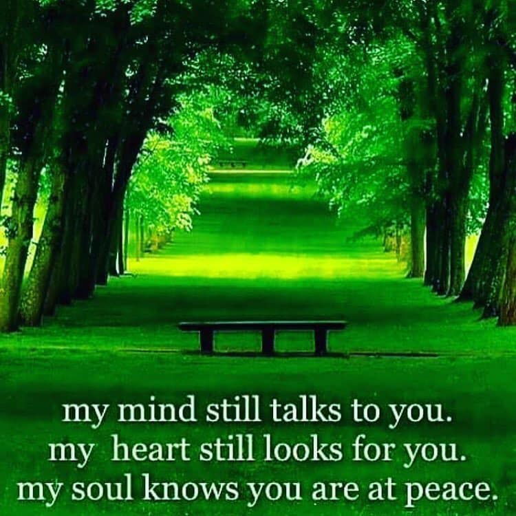 my mind still talks to you. my heart still looks for you. my soul knows you are at peace.